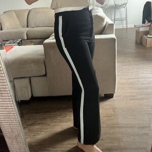 Aritzia Trousers